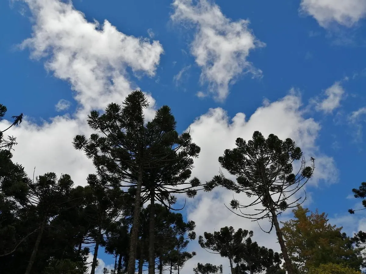 Capivari Conforto Campos do Jordao